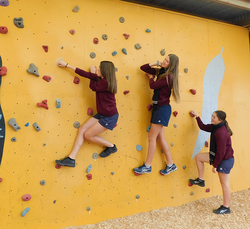 healthrockclimb